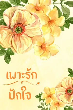 ปกนิยาย