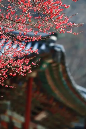 ปกนิยาย อดีตแสนทุกข์เข็ญเหตุใดจึงละทิ้งได้ยากเพียงนี้