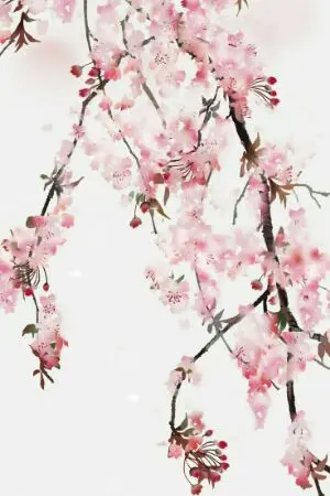 ปกนิยาย ลำนำกระบี่ดอกท้อ