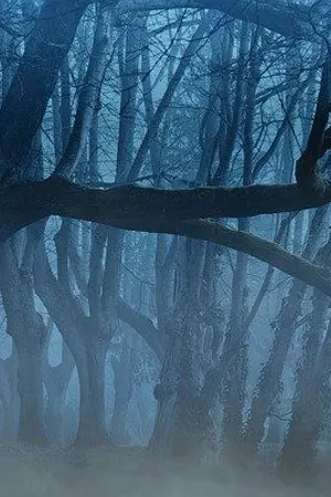 ปกนิยาย เมื่อฉันพบนายอีกครั้ง