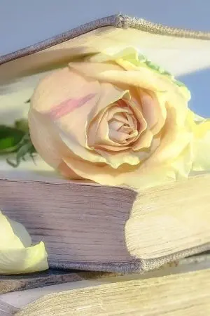 ปกนิยาย เฟรชชี่หน้าใส....หวานใจพี่ว้ากสุดหล่อ