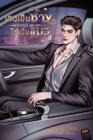 ปกนิยาย เกิดเป็นช้างแต่คนข้าง ๆ ให้เป็นแมว