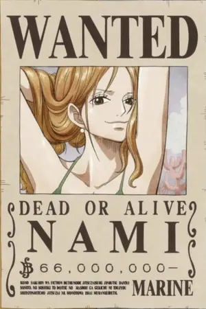 ปกนิยาย จบแล้ว ( Fic one piece ) Nami x Zoro