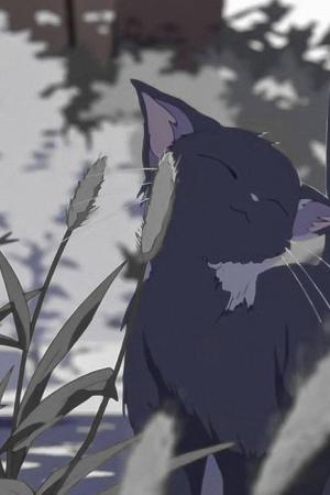 ปกนิยาย JUJUSTU KAISEN — 特別 [OC]