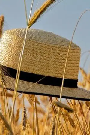 ปกนิยาย กงการรัก