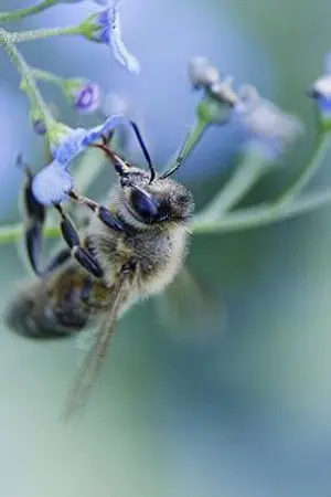 ปกนิยาย ศึกรักเหนือลิขิต