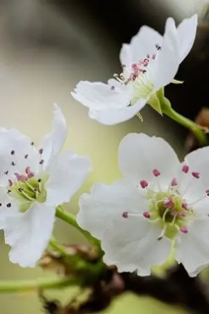 ปกนิยาย จอมใจจอมยุทธ