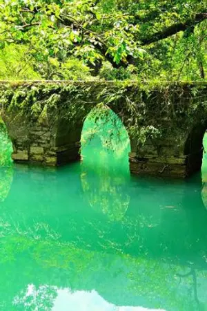 ปกนิยาย เกิดมาเป็นนางมารร้าย