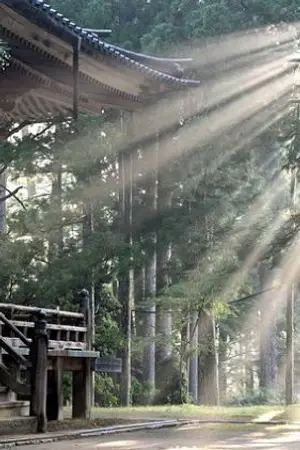 ปกนิยาย กลายมาเป็นตัวร้ายที่พระเอกไม่ต้องการ