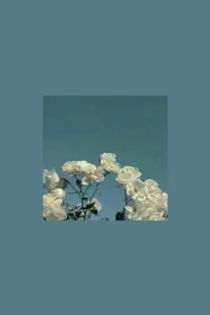 ปกนิยาย Yoongi × you  Is it you?