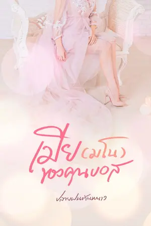 ปกนิยาย เมีย(มโน)ของคุณบอส