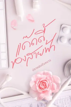 ปกนิยาย