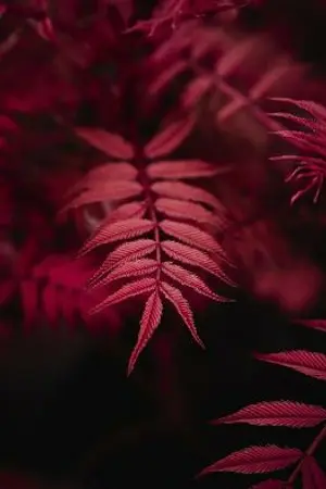 ปกนิยาย นางร้ายกับสกิลตัวประกอบ