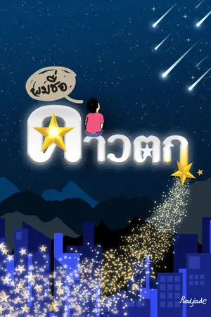 ปกนิยาย ผมชื่อ...ดาวตก