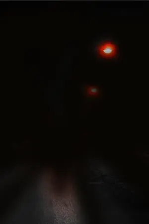 ปกนิยาย dream room