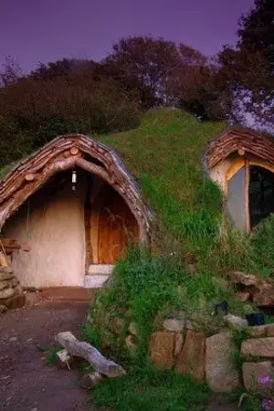 ปกนิยาย หยางหลันฮวา