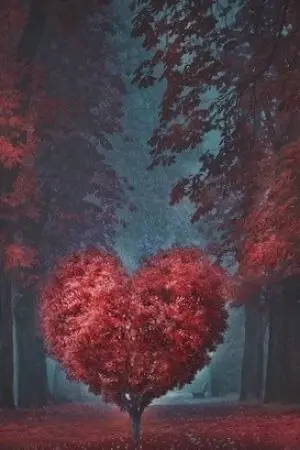 ปกนิยาย switch love สลับรัก สลับหัวใจ