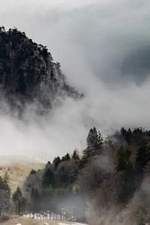 ปกนิยาย การเกิดใหม่ครั้งนี้ของให้ผมอยู่อย่างสงบสุขนะ