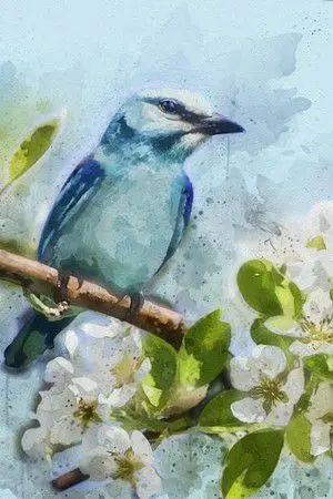 ปกนิยาย ช่างเม่ย สตรีหนีบัลลังก์