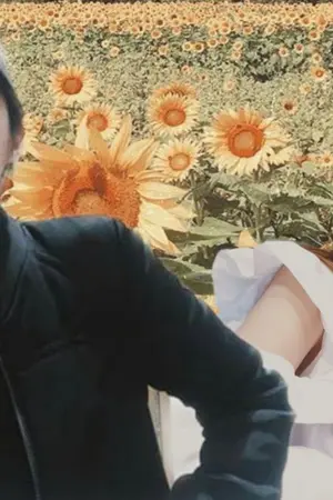 ปกนิยาย AIMNAM : My little boy ดุจดั่งทานตะวัน