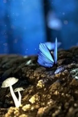 ปกนิยาย คลื่นคลั่ง