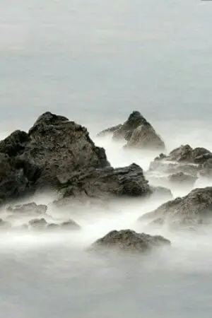 ปกนิยาย หมื่นเทพเจตจำนง