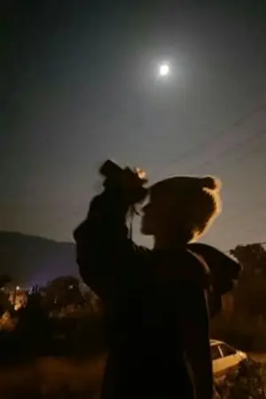 ปกนิยาย ever been. 🌼