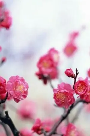 ปกนิยาย [Fic taeten] นับหนึ่งถึงดวงใจ