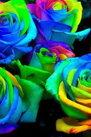 ปกนิยาย Last Choice ยังไงก็คือเธอ (Yuri)