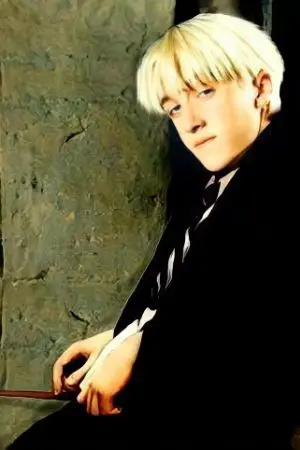 ปกนิยาย [Fic Harry Potter] You're mine ทฤษฎีการจีบฉบับมัลฟอย[DM/OC]AU