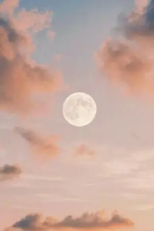 ปกนิยาย THE PaPer