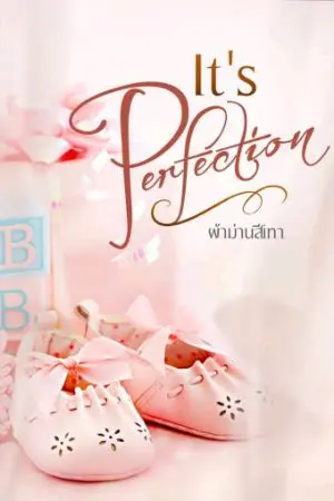 ปกนิยาย It's perfection