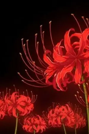 ปกนิยาย [Fic Kimetsu No Yaiba] นี่ข้าอยู่โลกอนิเมะเหรอ?