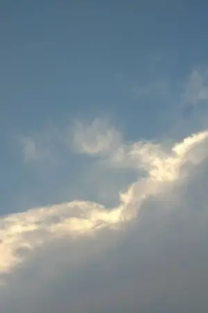 ปกนิยาย อ้อม.รัก