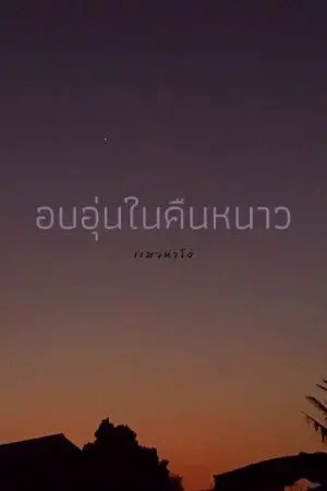 ปกนิยาย อบอุ่นในคืนหนาว.