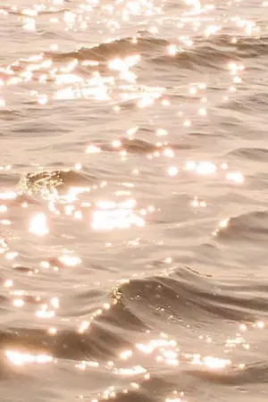 ปกนิยาย Crush (v.) — fem v