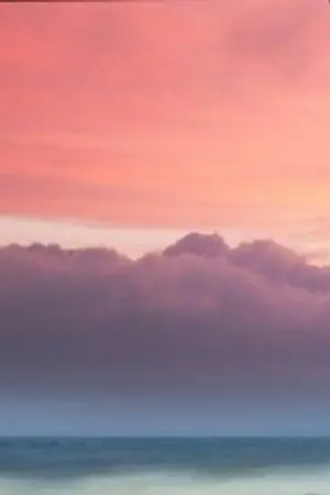 ปกนิยาย ❴Fic Detective Conan❵   Secret