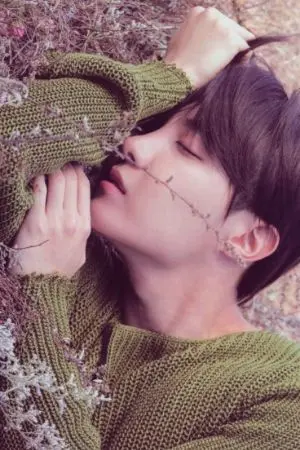 ปกนิยาย Idolize - หลงรัก   ( namseok )