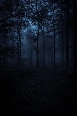 ปกนิยาย เศษ