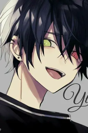 ปกนิยาย Fic Anime : ระบบเฟทซีรีส์