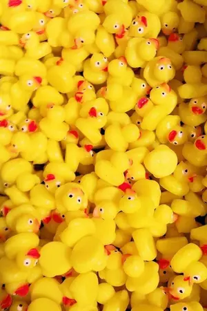 ปกนิยาย (OS/SF) ONGHOON IS HERE | 2020