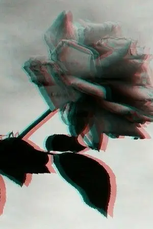 ปกนิยาย bound blood | KaiChen (vampire AU)