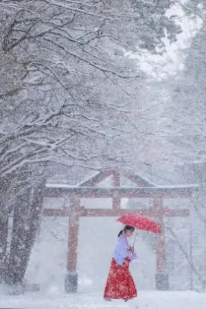 ปกนิยาย ฤดูหนาวกลับมาอีกครั้ง  The winter is back again.