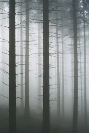 ปกนิยาย การใช้ชีวิตแสนอินดี้ในโลกนินจา