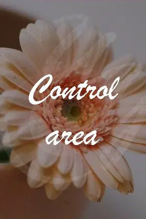 ปกนิยาย [FLOWER] CONTROL AREA : พื้นที่ควบคุมความรัก