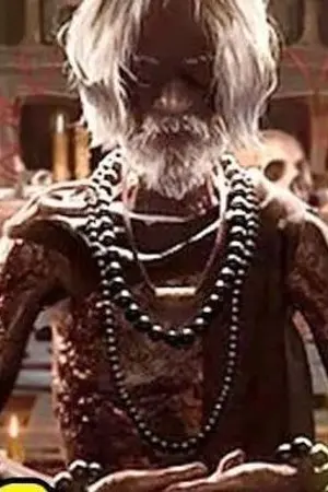 ปกนิยาย ผิดหรอที่หมอผีอย่างข้า อยากเกิดใหม่บ้าง