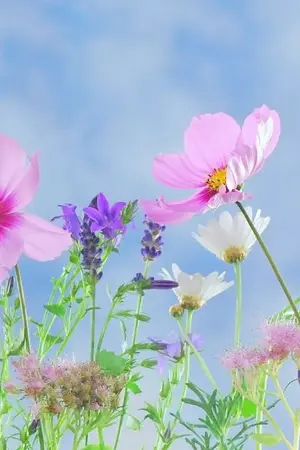 ปกนิยาย the wind of winter