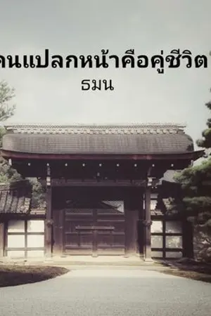 ปกนิยาย คนแปลกหน้าคือคู่ชีวิต