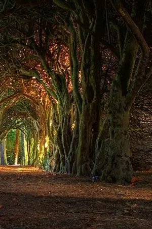 ปกนิยาย Canarhian แผนมายามนตราอสูร