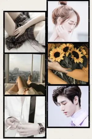 ปกนิยาย ทานตะวัน -MB-